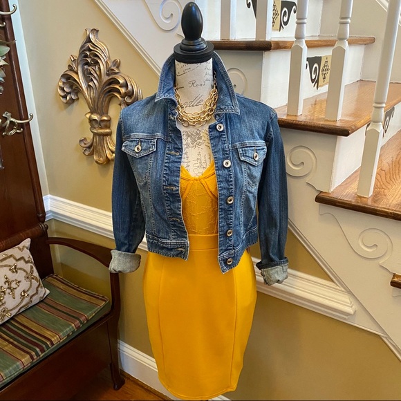 New!!! Haute Monde lace & mesh bustier dress - Picture 3 of 7